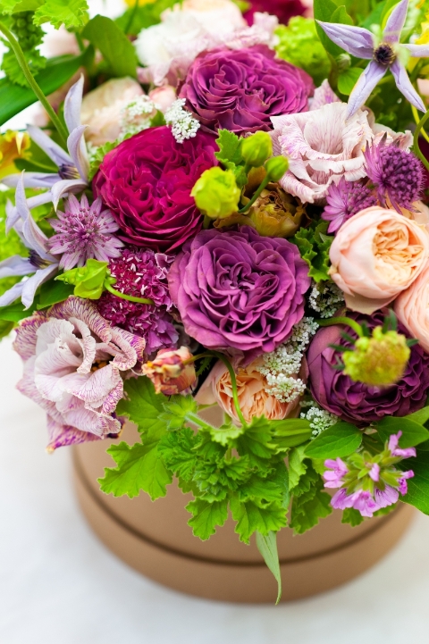 Delice Floral